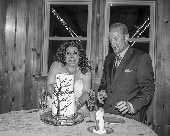 Cake Cutting (4)
