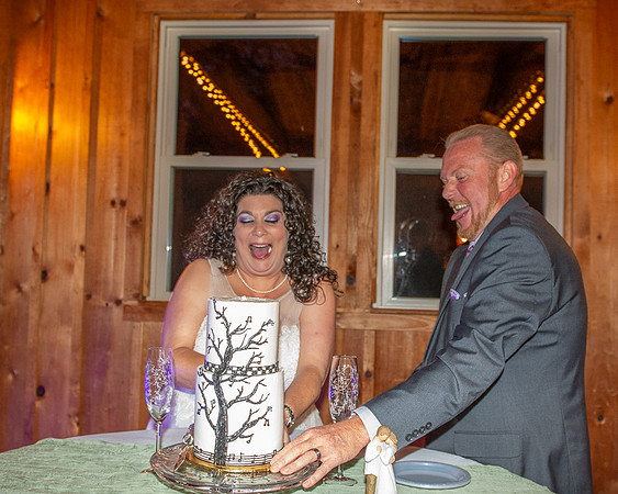 Cake Cutting (5)