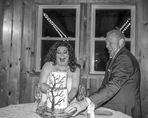 Cake Cutting (6)