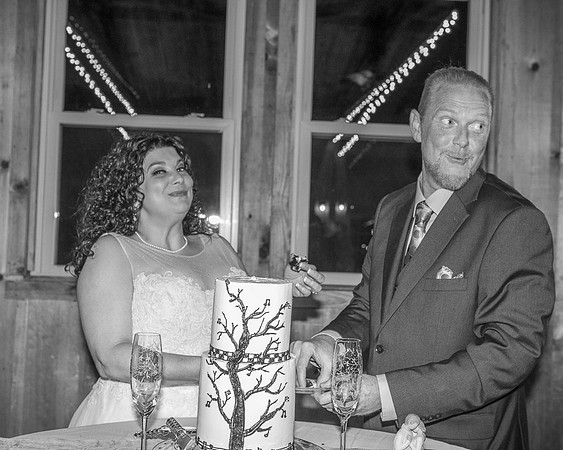 Cake Cutting (8)