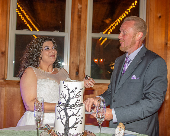 Cake Cutting (9)