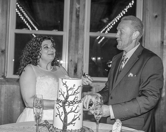 Cake Cutting (10)