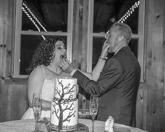 Cake Cutting (13)