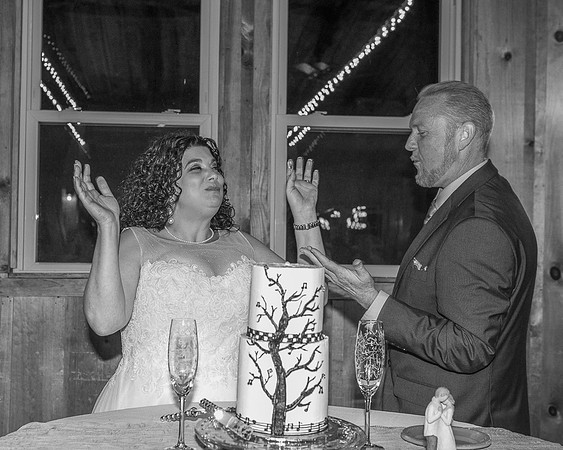 Cake Cutting (15)