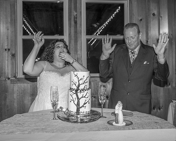Cake Cutting (17)