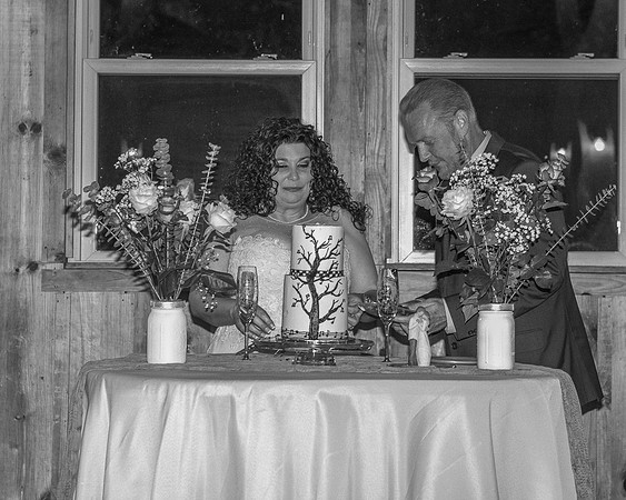 Cake Cutting (19)