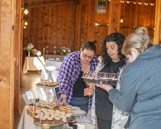 Cake Delivery (15)