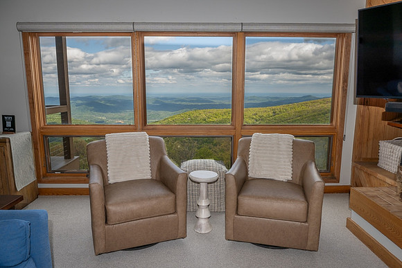 Leather Chairs