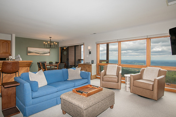 Living Room (14)