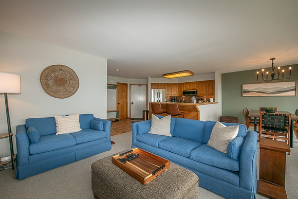 Living Room (22)