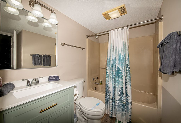 Bathroom 1 (3)