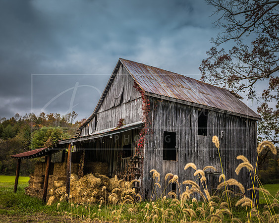 Lovingston, Virginia