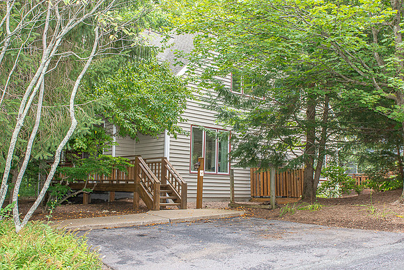 10 Trillium Wintergreen