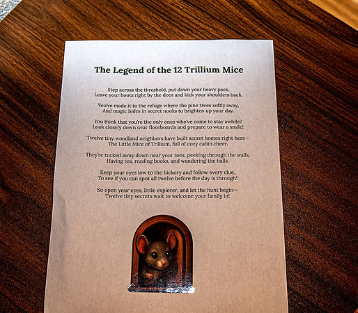 12 Trillium Mice (2)