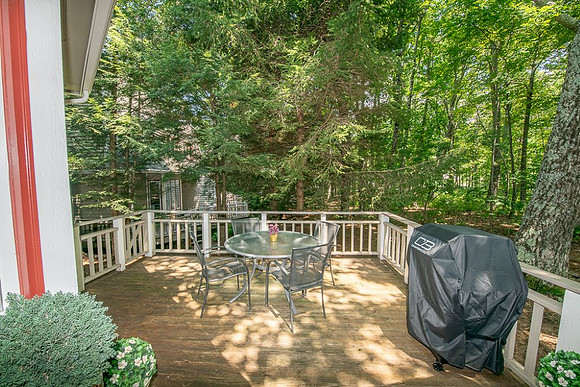 Back Deck (1)
