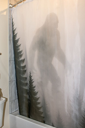 Bathroom 2 (6)