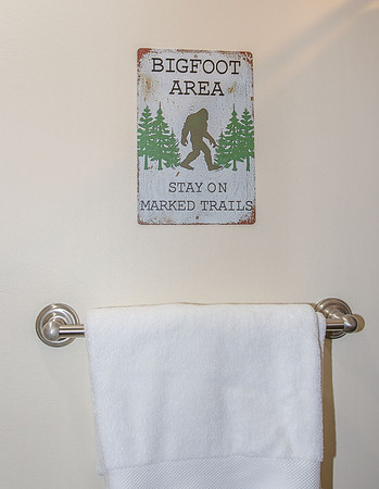 Bathroom 2 (7)