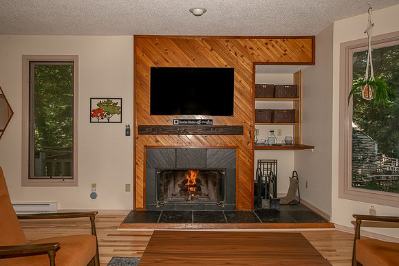 Fireplace (3)
