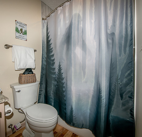Bathroom 2 (2)