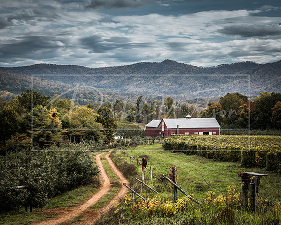 Silver Creek Orchards Red Barn 10.24 (1)