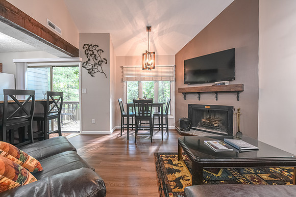 Living Room  (1)