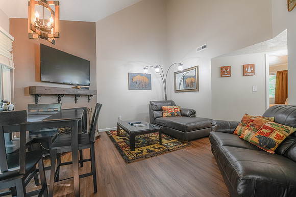 Living Room  (3)