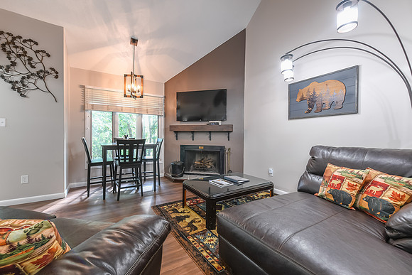 Living Room  (4)