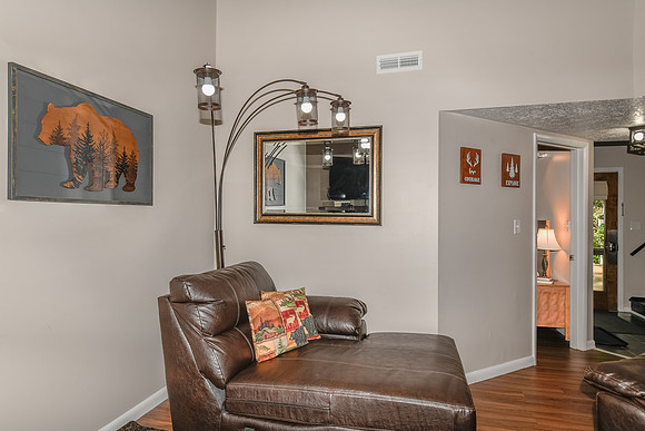 Living Room  (7)