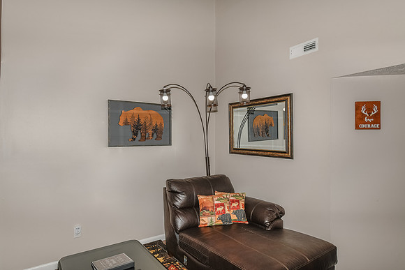 Living Room  (9)
