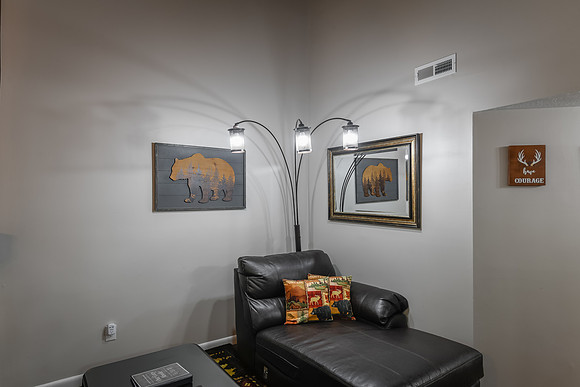 Living Room  (10)