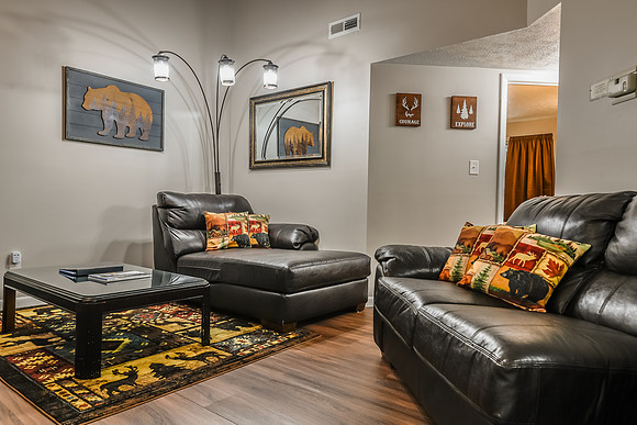 Living Room  (12)