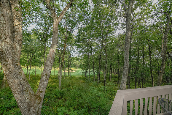 View From Back Deck  (1)