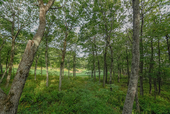 View From Back Deck  (2)