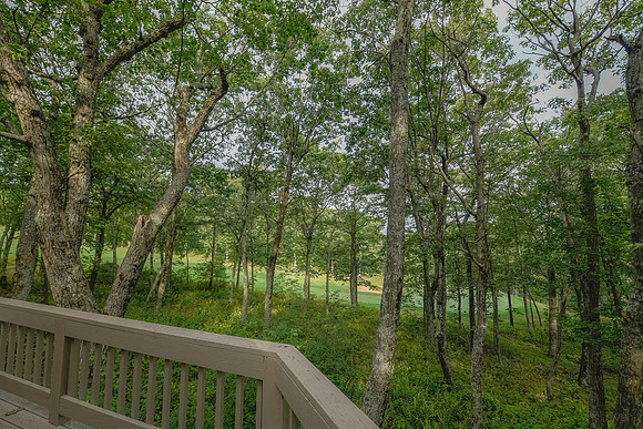 View From Back Deck  (3)