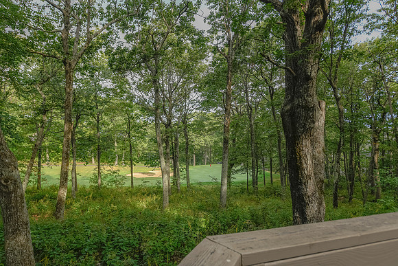 View From Back Deck  (4)