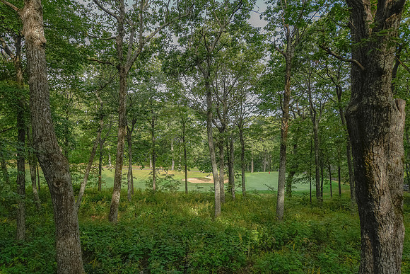 View From Back Deck  (5)