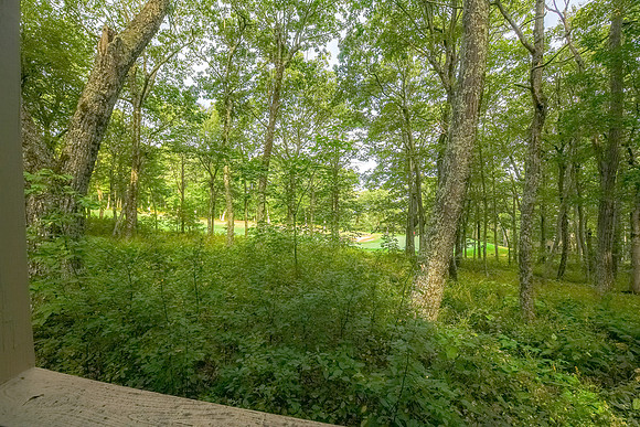 View from Lower Level  (2)