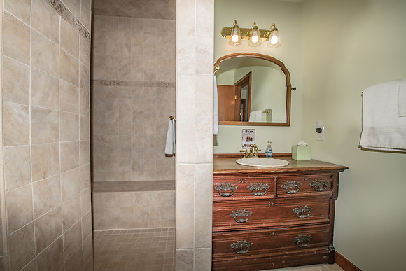 Bathroom 3  (14)