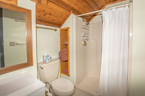 Bathroom 5  (2)