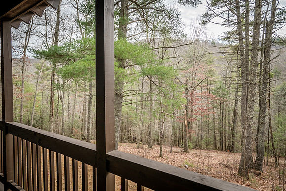 Front Porch  (5)