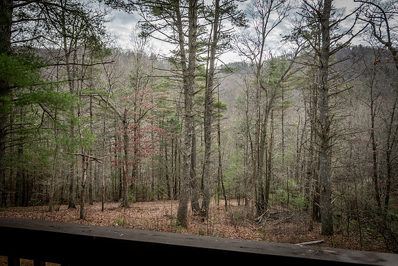 Front Porch  (8)