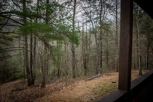 Front Porch  (11)
