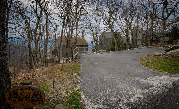 972 Bear Way To Heaven  (36)