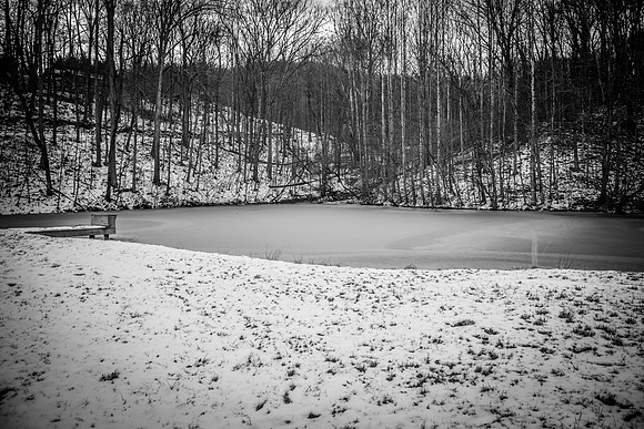 Frozen Pond  (1)