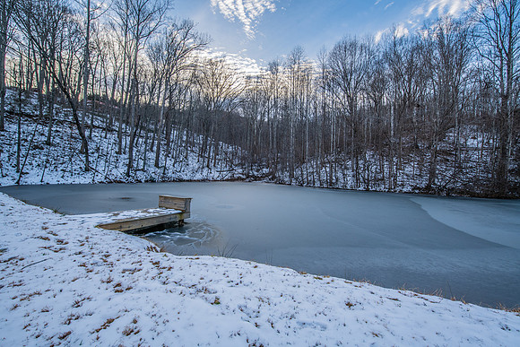 Frozen Pond  (7)