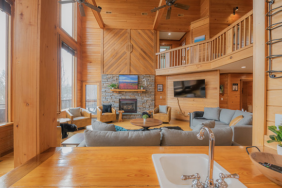 Living Room  (2)