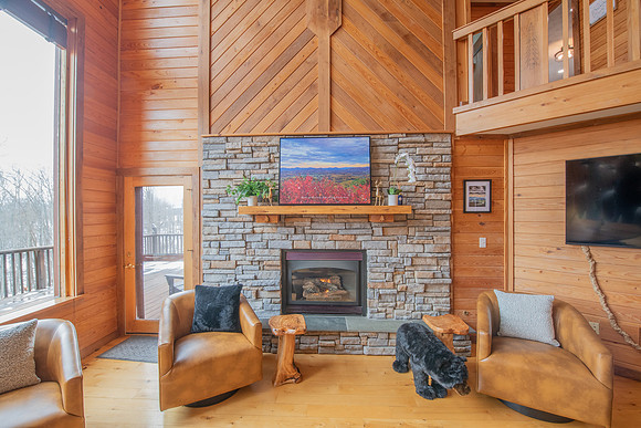 Living Room  (6)