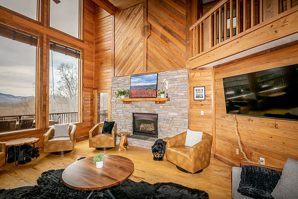 Living Room (3)