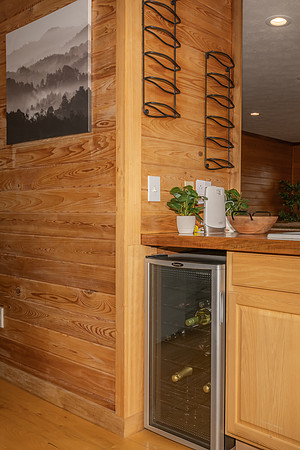 Wine Fridge  (4)