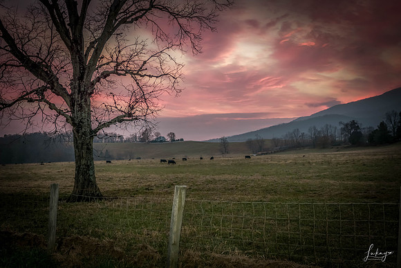 Thanksgiving Sky